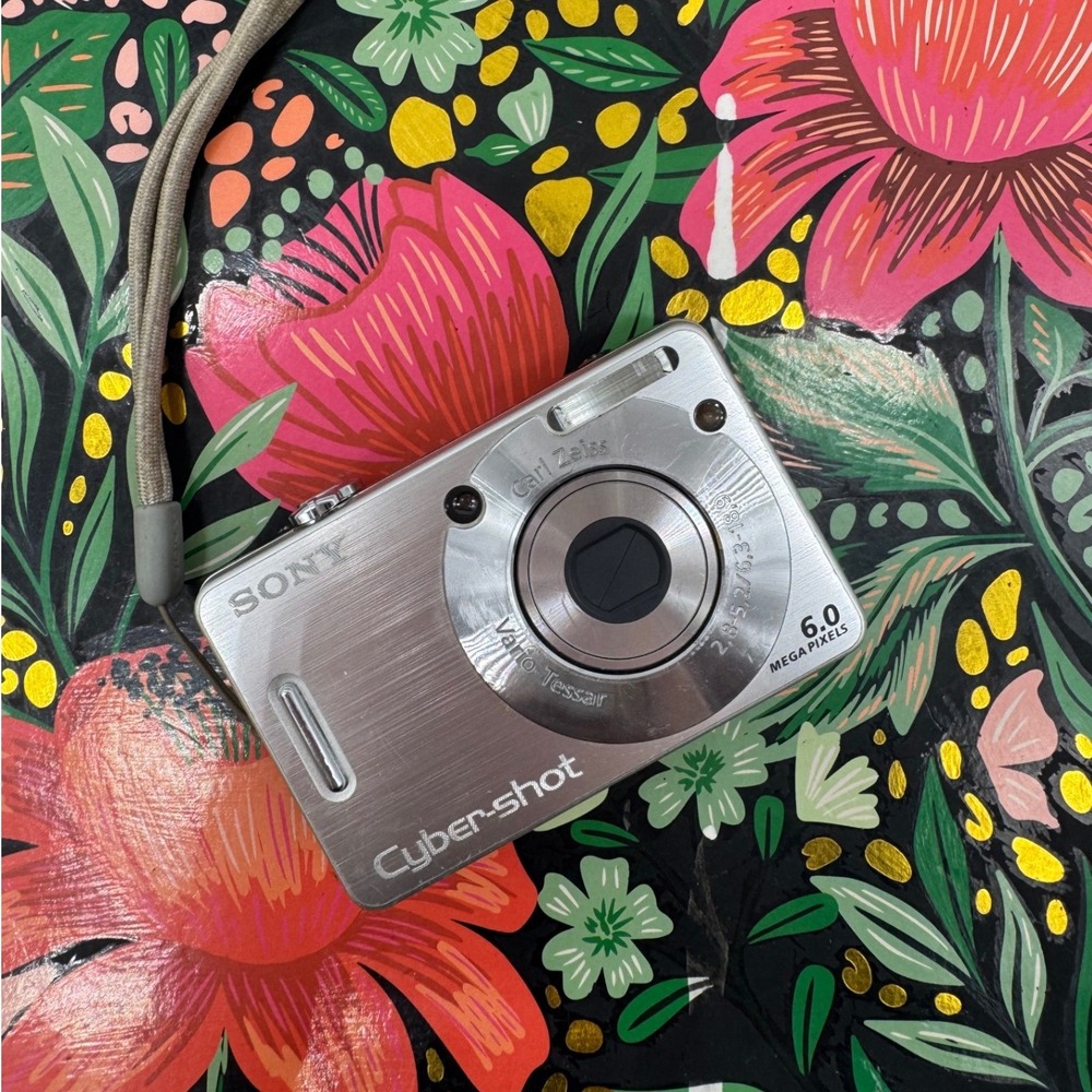 Sony Cyber-shot DSC-W50 6.0MP Digital Camera Silver Compact Point and Shoot Y2K